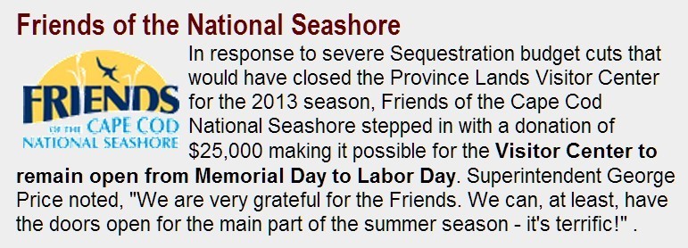 Example of a Short Article